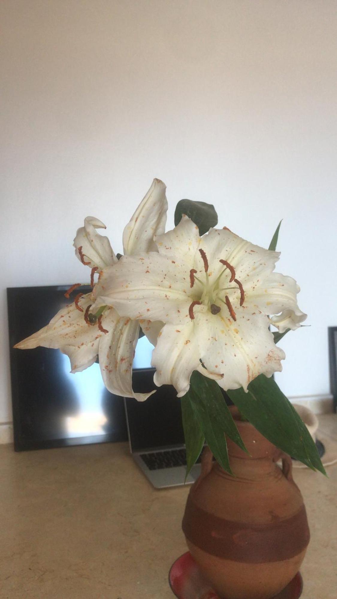Alam B&B Marsa Alam Εξωτερικό φωτογραφία