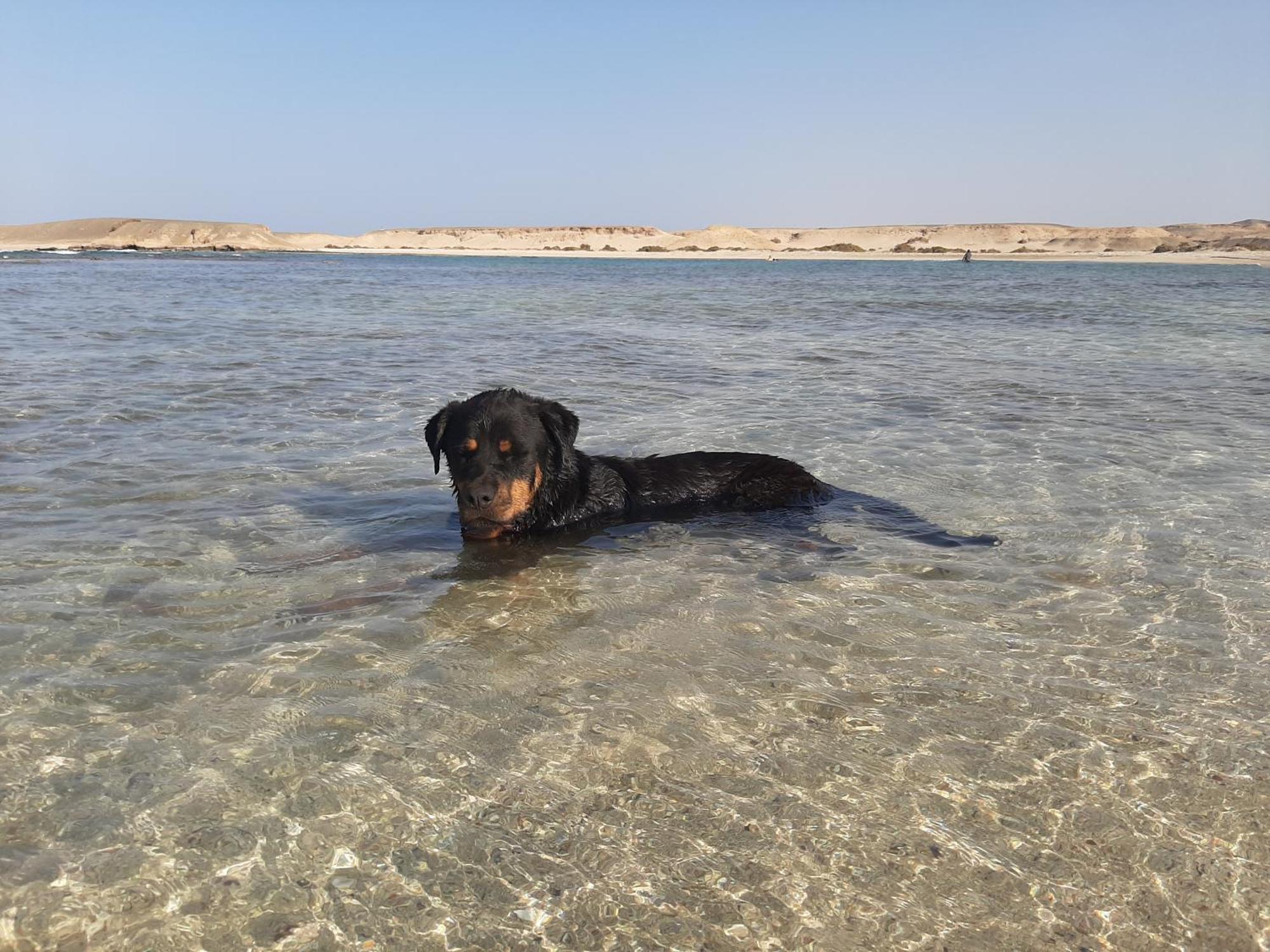 Alam B&B Marsa Alam Εξωτερικό φωτογραφία
